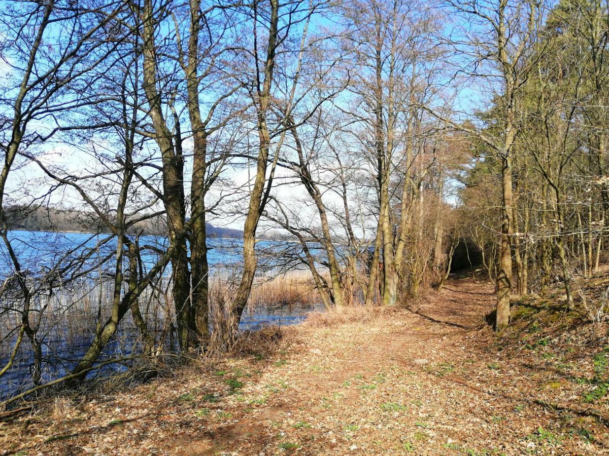 Domki Nad Jeziorem Dabrowno  Bagian luar foto