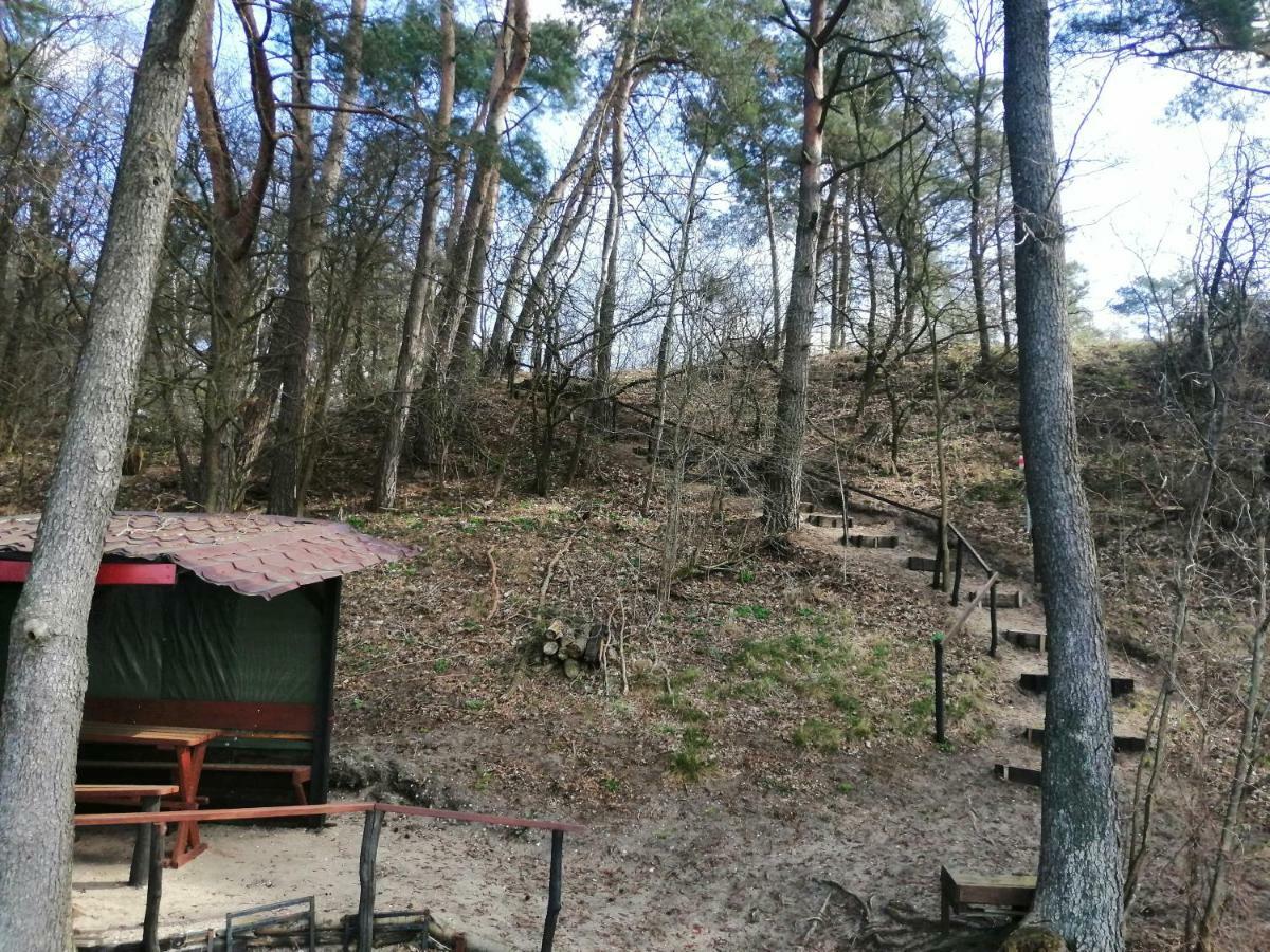 Domki Nad Jeziorem Dabrowno  Bagian luar foto